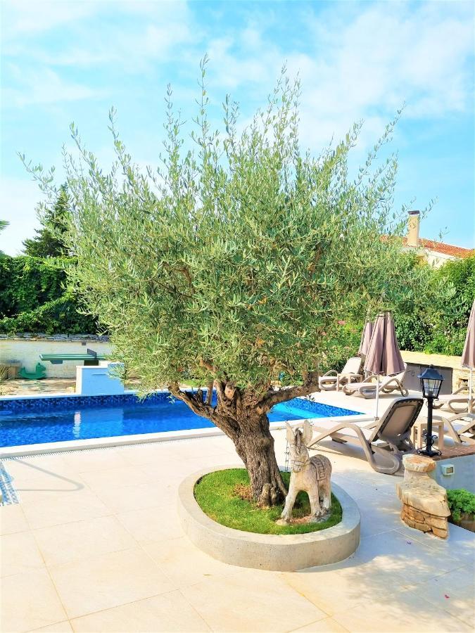 Apartment Villa Engel With Pool ポレッチ エクステリア 写真
